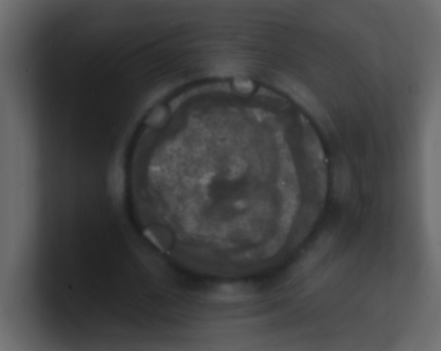 X0000100840584200807070935