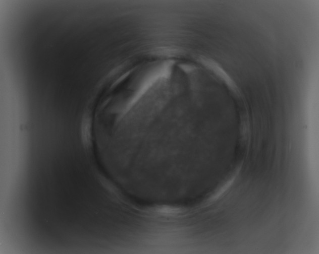 X0000100840585200807070935