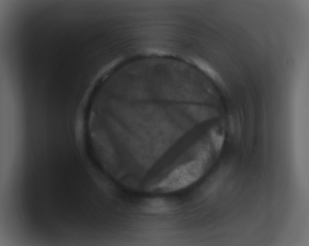 X0000100840588200807070935