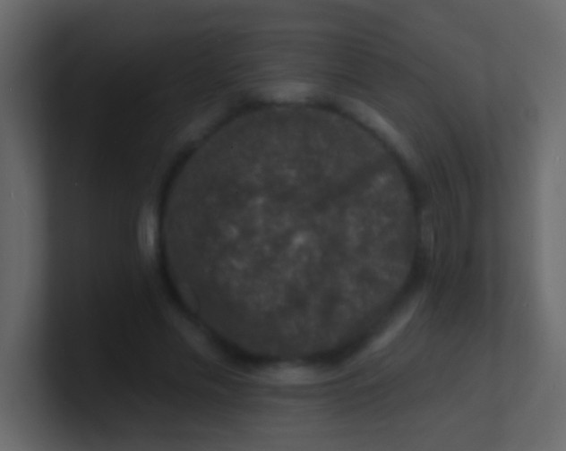 X0000100840589200807070935