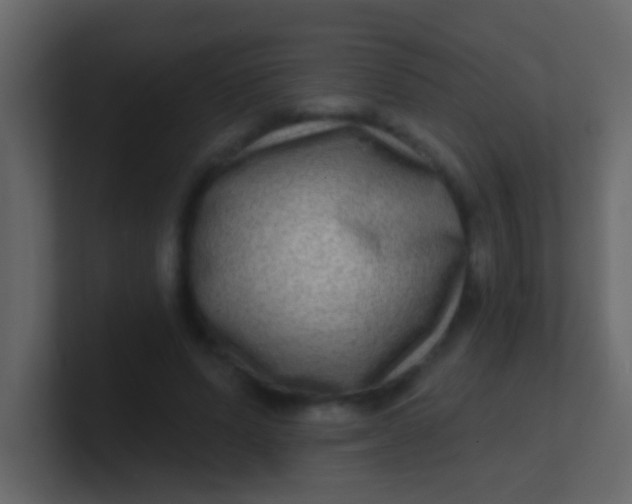 X0000100840591200807070935