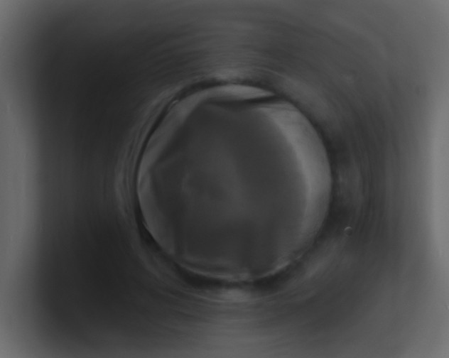 X0000100840592200807070935