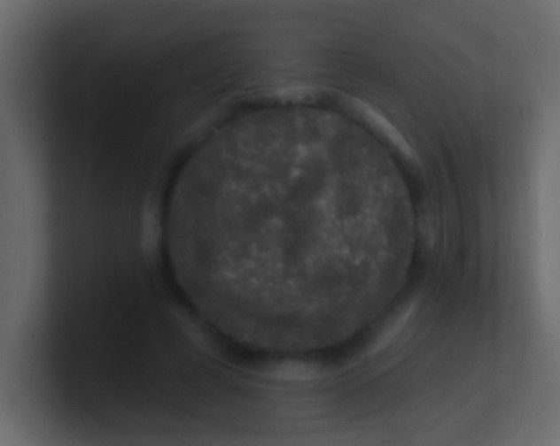 X0000100840593200807070935