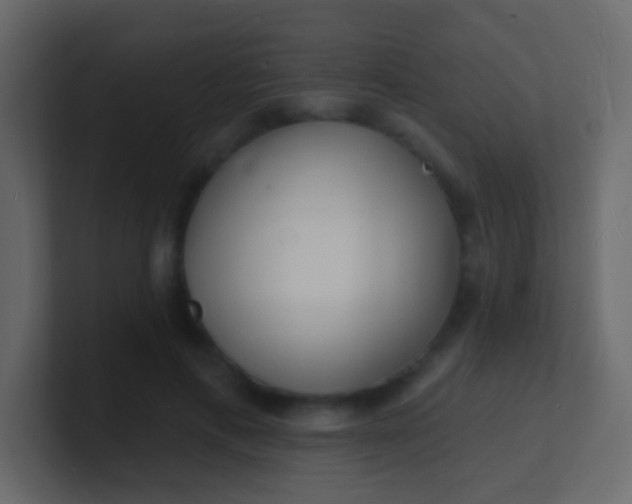 X0000100840597200807070935