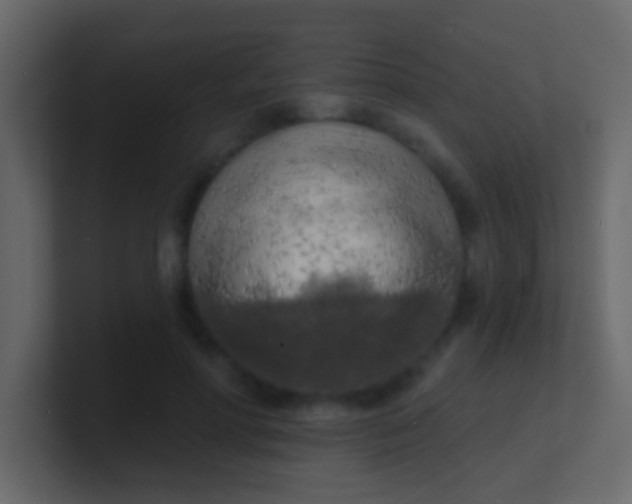 X0000100840598200807070935