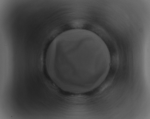 X0000100840600200807070935