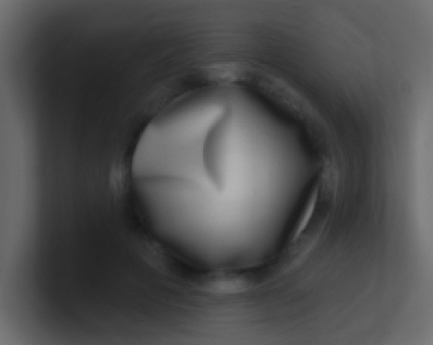 X0000100840601200807070934