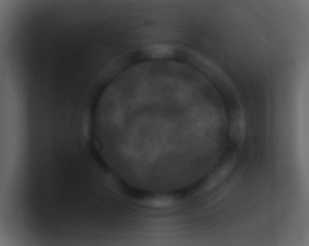 X0000100840604200807070934