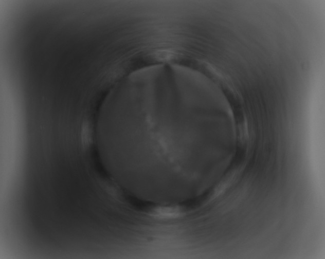 X0000100840606200807070934