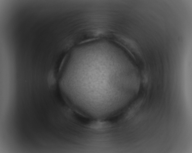 X0000100840607200807070934