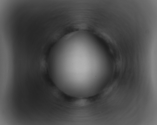 X0000100840609200807070934