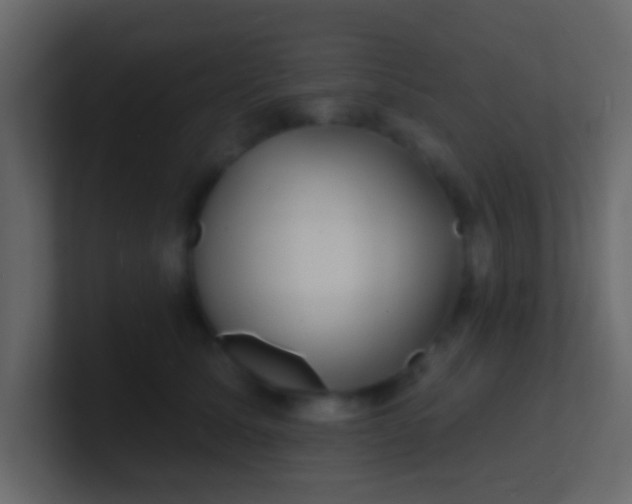 X0000100840611200807070934