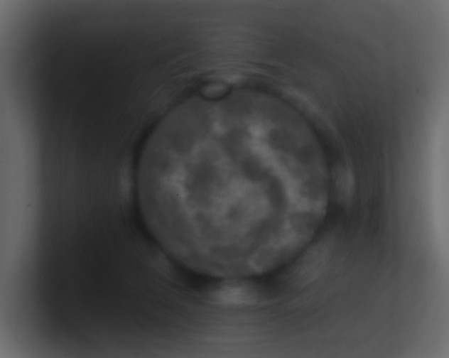 X0000100840612200807070934