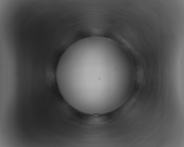 X0000100840613200807070934