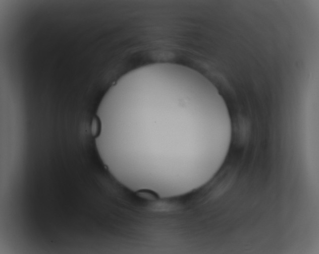 X0000100840614200807070934