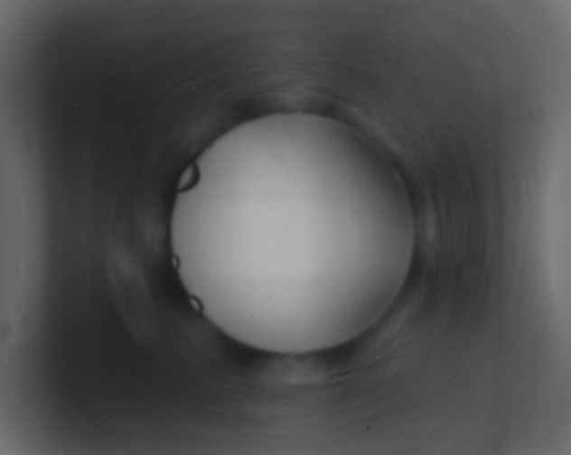 X0000100840615200807070934