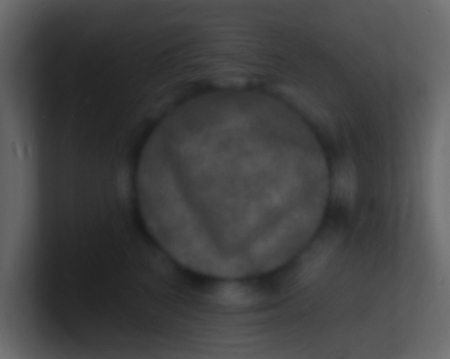 X0000100840616200807070934