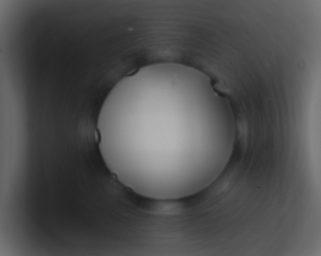 X0000100840617200807070934