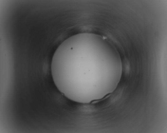 X0000100840619200807070934