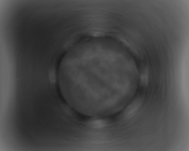 X0000100840620200807070934