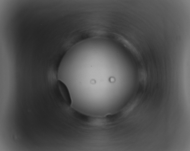 X0000100840621200807070934