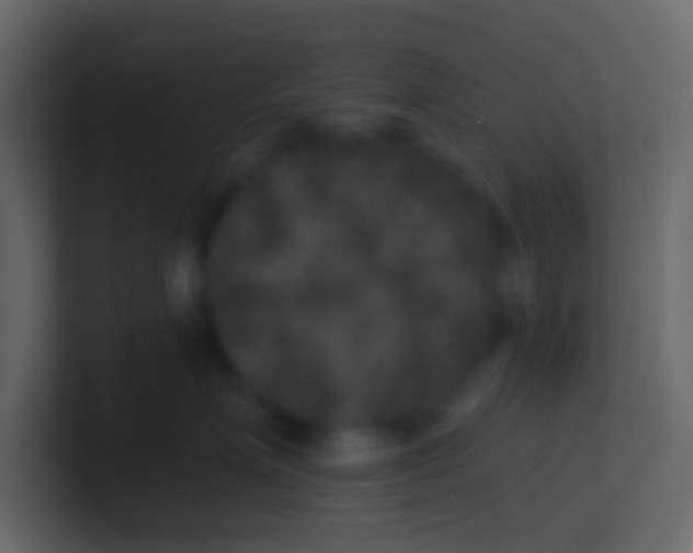 X0000100840623200807070934