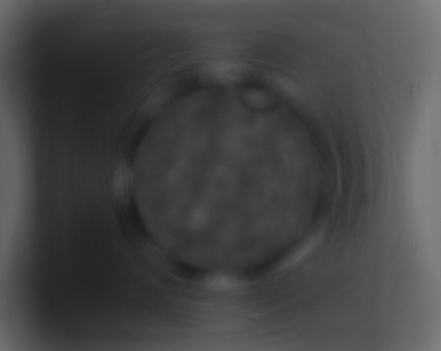 X0000100840624200807070934