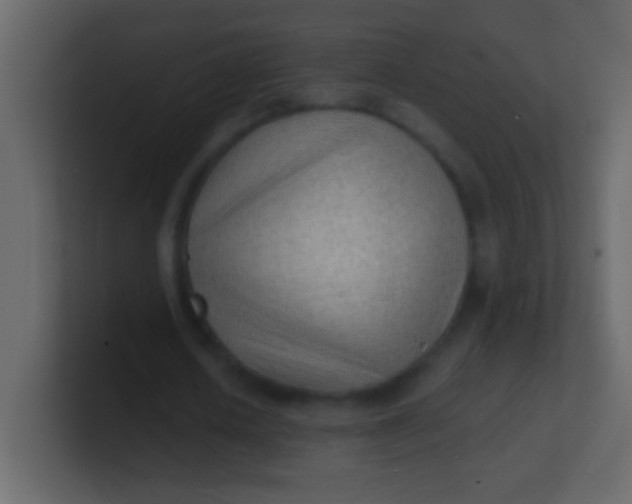 X0000100840626200807070934