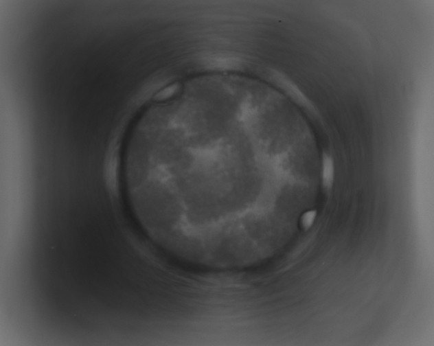 X0000100840627200807070934