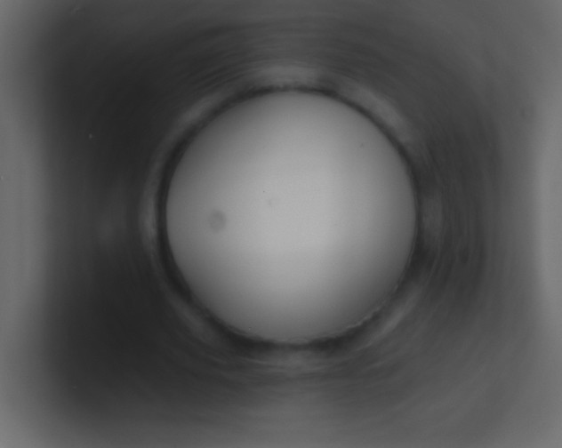 X0000100840629200807070934