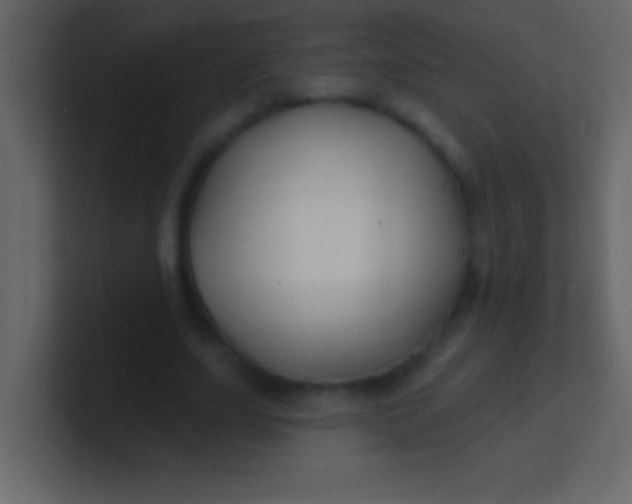 X0000100840631200807070934