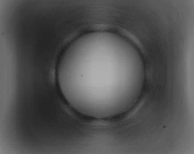 X0000100840633200807070934