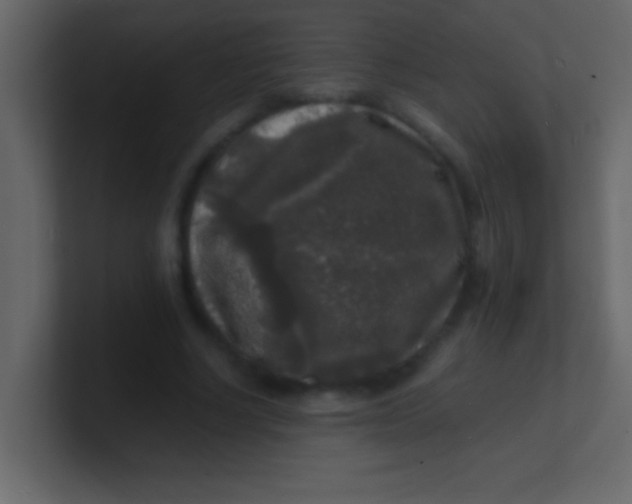 X0000100840634200807070934