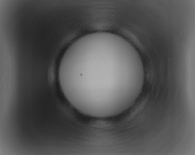 X0000100840635200807070934