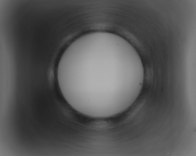 X0000100840636200807070934