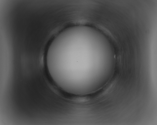 X0000100840638200807070934