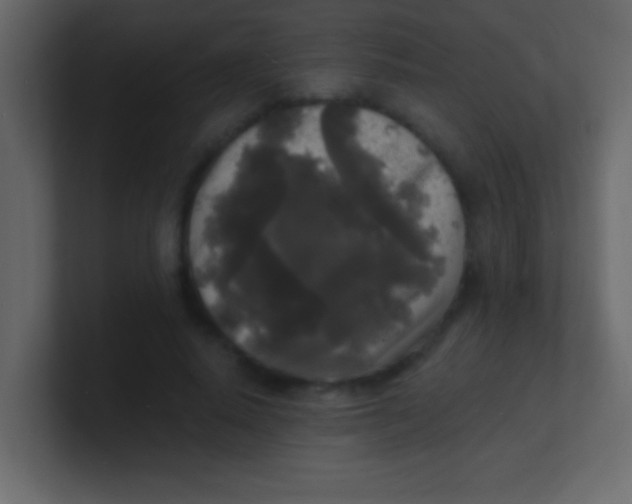 X0000100840640200807070934