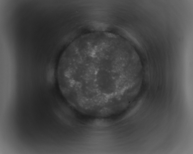 X0000100840641200807070934