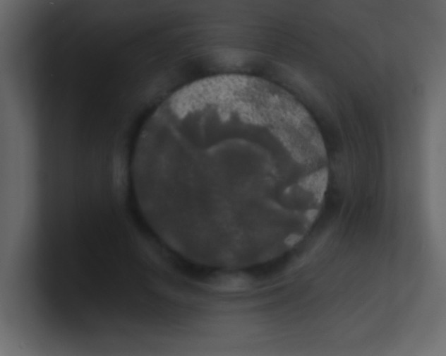 X0000100840642200807070934