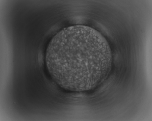 X0000100840643200807070934