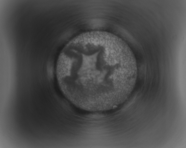 X0000100840644200807070934