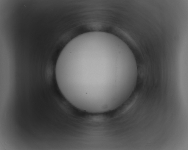 X0000100840645200807070934