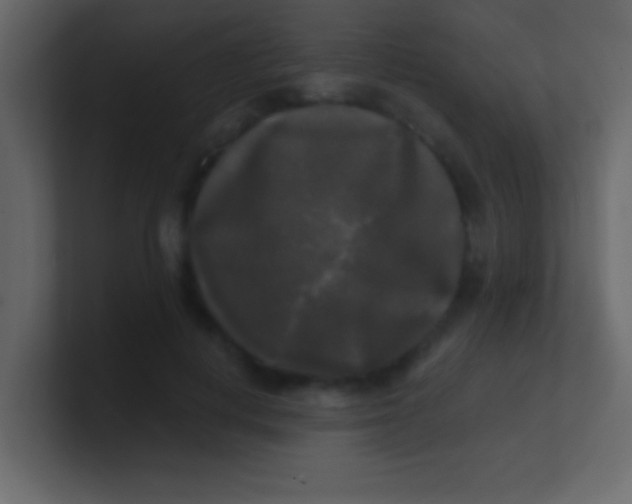 X0000100840648200807070934