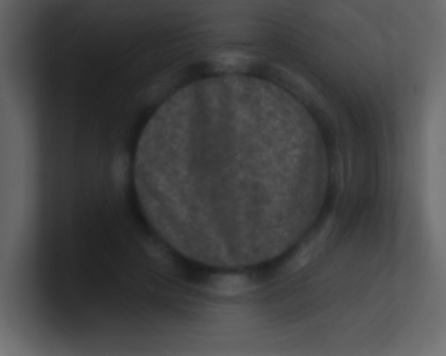 X0000100840649200807070934