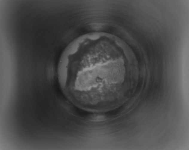 X0000100840651200807070934