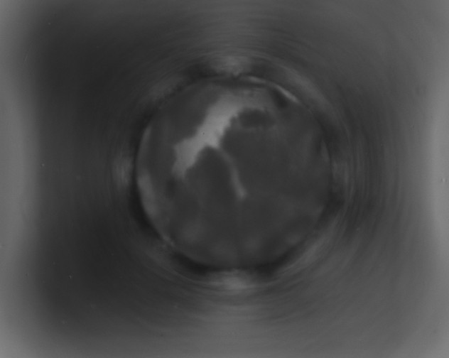 X0000100840652200807070934