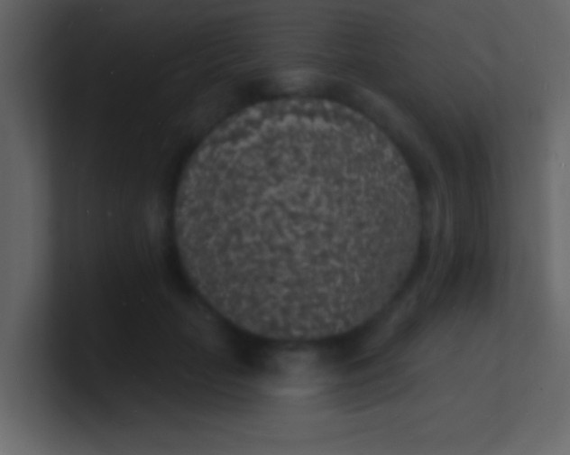 X0000100840653200807070934