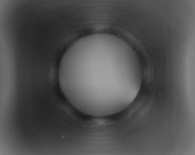 X0000100840654200807070934