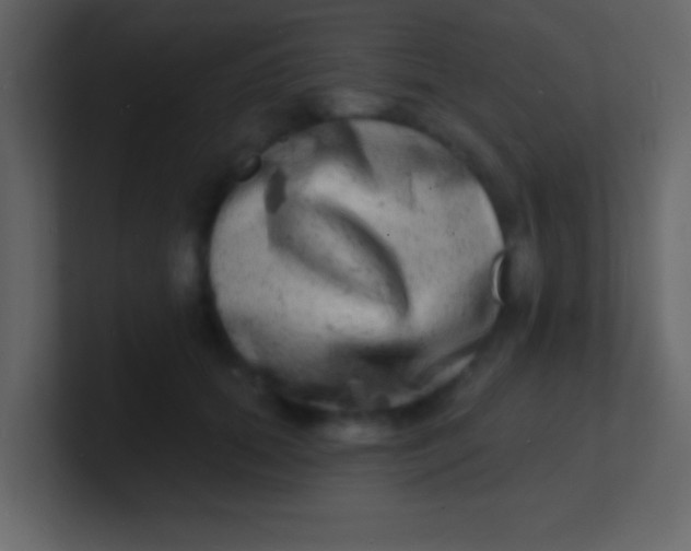 X0000100840655200807070934