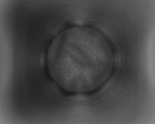 X0000100840656200807070934